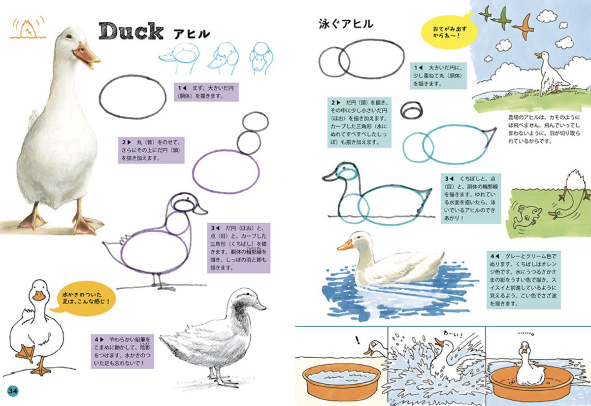【マール社🐷新刊】
『ジェニファー・ベルのたのしい動物の描き方』好評発売中‼️
アタリがちゃんと取れれば、けっこう描けるもんだ👀という驚き💡色々な動物をちょっとずつ描いてみたい、という時におすすめの本です🐘🦓🦒💨編I
マール社
https://t.co/LXpoLb2ZeX
Amazon
https://t.co/uNDHZa2EyZ 
