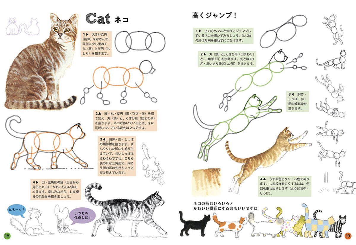 【マール社🐷新刊】
『ジェニファー・ベルのたのしい動物の描き方』好評発売中‼️
アタリがちゃんと取れれば、けっこう描けるもんだ👀という驚き💡色々な動物をちょっとずつ描いてみたい、という時におすすめの本です🐘🦓🦒💨編I
マール社
https://t.co/LXpoLb2ZeX
Amazon
https://t.co/uNDHZa2EyZ 