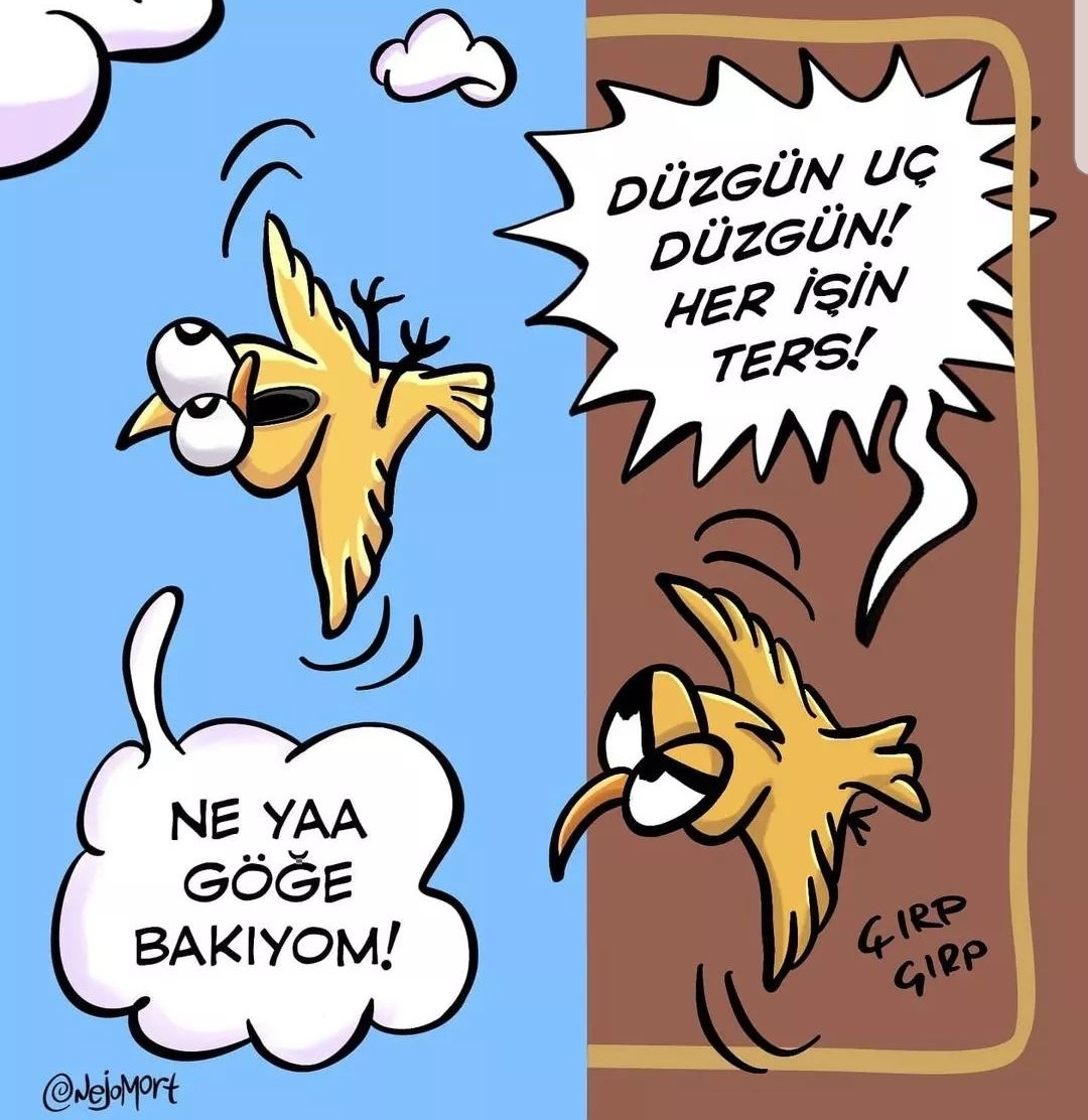 dygimen's tweet photo. https://t.co/Iam3a62RZQ