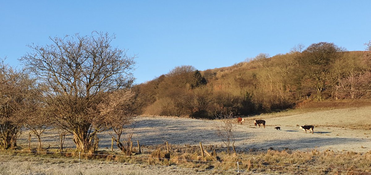 WelshRev's tweet photo. Happy blue (skies) Monday!
(Buck the trend).
#BlueMonday #NotHavinIt
May the sun shine across your path today. https://t.co/Gh2ODrbruk