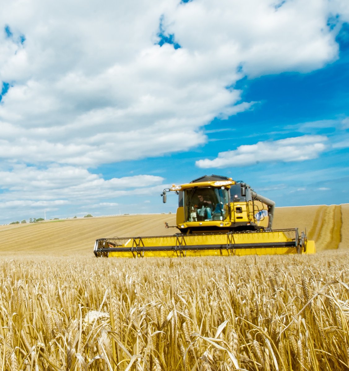 There are big changes in farming policy ahead &amp; now is the time to start taking action. Join us for a free Agricultural Transition Plan event at <a href="/BCA_Maidenhead/">BCA</a> in #Berkshire this spring, details here: portal.clahosting.org.uk/MY-CLA/Events/… #CLA <a href="/CLAtweets/">Country Land & Business Assn</a> <a href="/DefraGovUK/">Defra UK</a> <a href="/Laura__Farris/">Laura Farris</a>