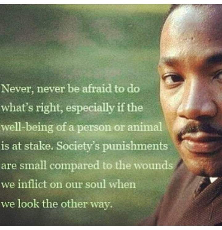 stella105eric's tweet photo. MLK's family is vegan https://t.co/ok2eUpeKqn