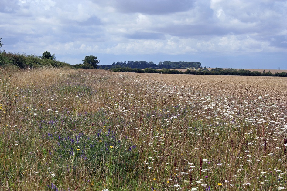 There are big changes in farming policy ahead &amp; now is the time to start taking action. Join us for a free Agricultural Transition Plan event at <a href="/Sparsholt_Coll/">Sparsholt College</a> in #Hampshire this spring, details here: portal.clahosting.org.uk/MY-CLA/Events/… #CLA <a href="/CLAtweets/">Country Land & Business Assn</a> <a href="/DefraGovUK/">Defra UK</a> <a href="/carolinenokes/">Caroline Nokes</a>