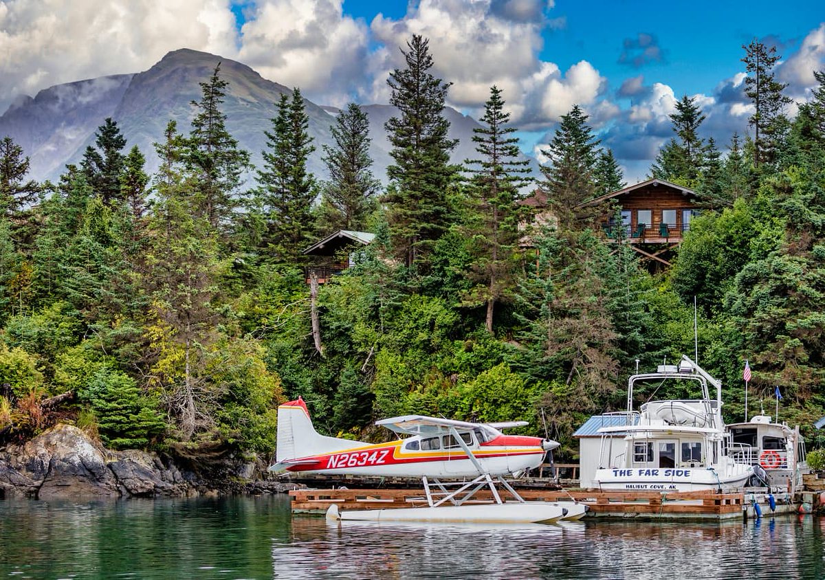 StillpointLodge's tweet photo. Summer at #StillpointLodge 
*long beautiful days
*late #sunsets
*lush green #wilderness
*fresh #mountain air
*tide pool #sea creatures 
* #kayaking calm cove waters
* #seaotters #baldeagles
* #yoga
* #gourmet
*private #cabin 
*epic #Alaska #adventures...

#experienceit #virtuoso https://t.co/A9clHUs2Gl