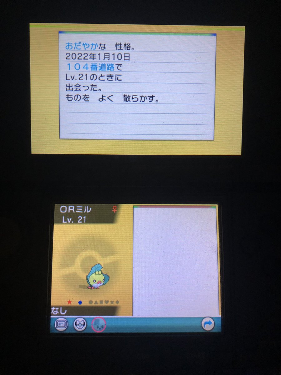 DChindon's tweet photo. 年明けから、多くの色違いポケモンゲット出来たことが楽しくて、オメガルビーでポケモンサーチを使ってゲットしました。
＃色違いポケモン https://t.co/PzauNVFEln