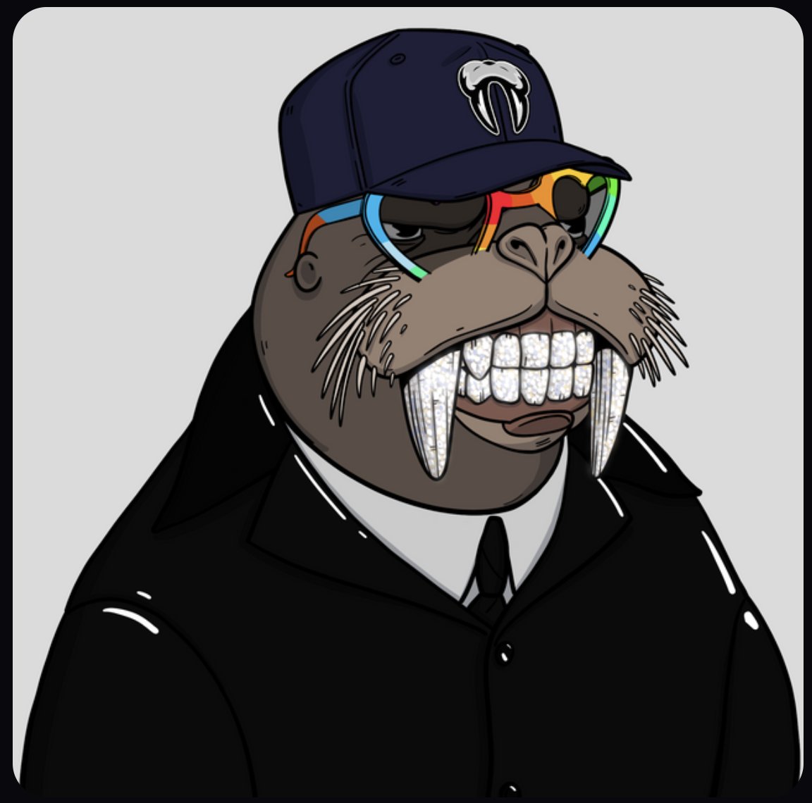 DoubleBlkCrypto's tweet photo. and we're off. i've started my #nft journey with @WATwalrus https://t.co/CnQY1rpbIx