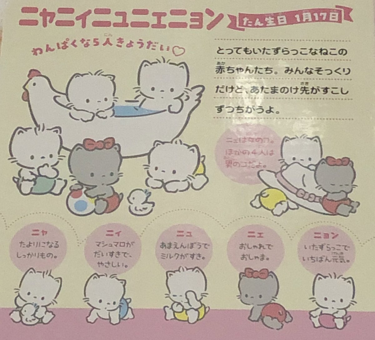 ニャ、ニィ、ニュ、ニェ、ニョンお誕生日おめでとう！ 実は女の子の