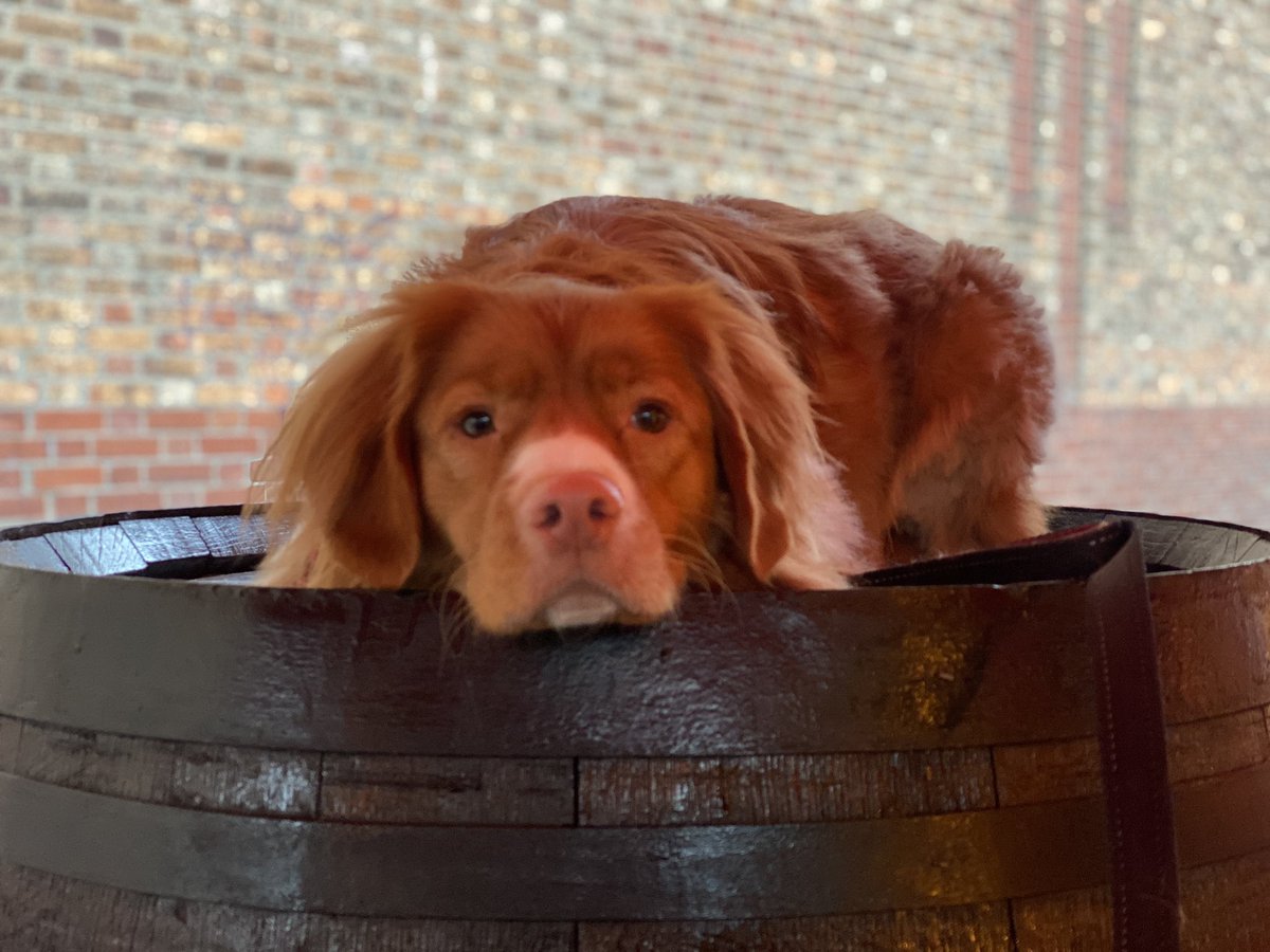 Anna Colclough tweet media