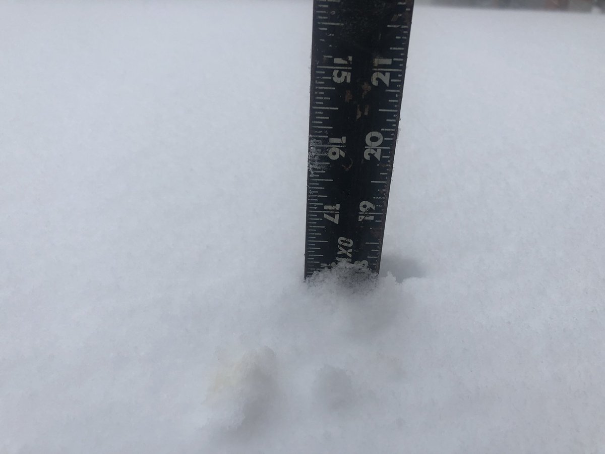 RyanR1218's tweet photo. Now up to 45 cm (18 inches) of snow in Whitby. The most I’ve ever measured here! #onstorm #onwx https://t.co/MFIL09VrxX