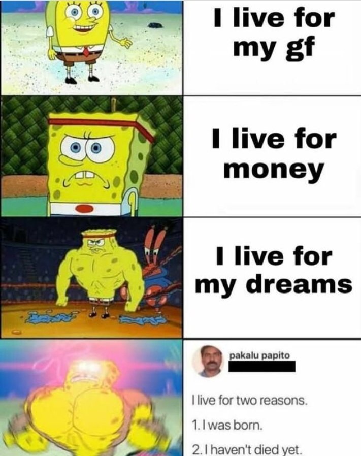 TheLastMemeBoi's tweet photo. Same #Memes #memesdaily #dankmemes https://t.co/MTC81yXp7T