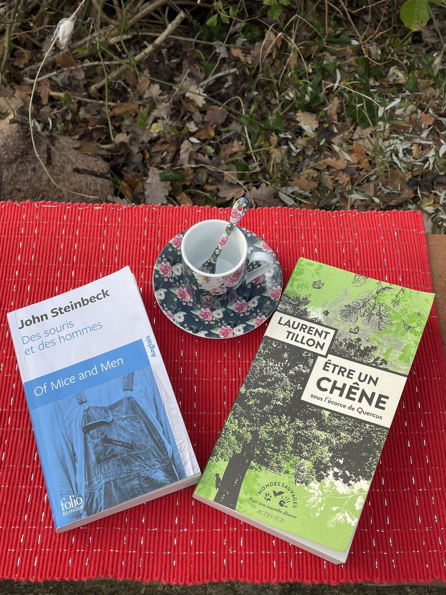 2 livres recommandés par theschool.fr #fle #englishvocabulary #culture