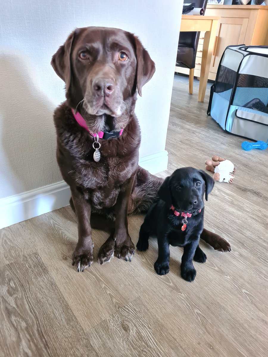 Merryn & Piran tweet media