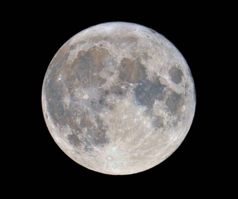 Imfrensys tweet media