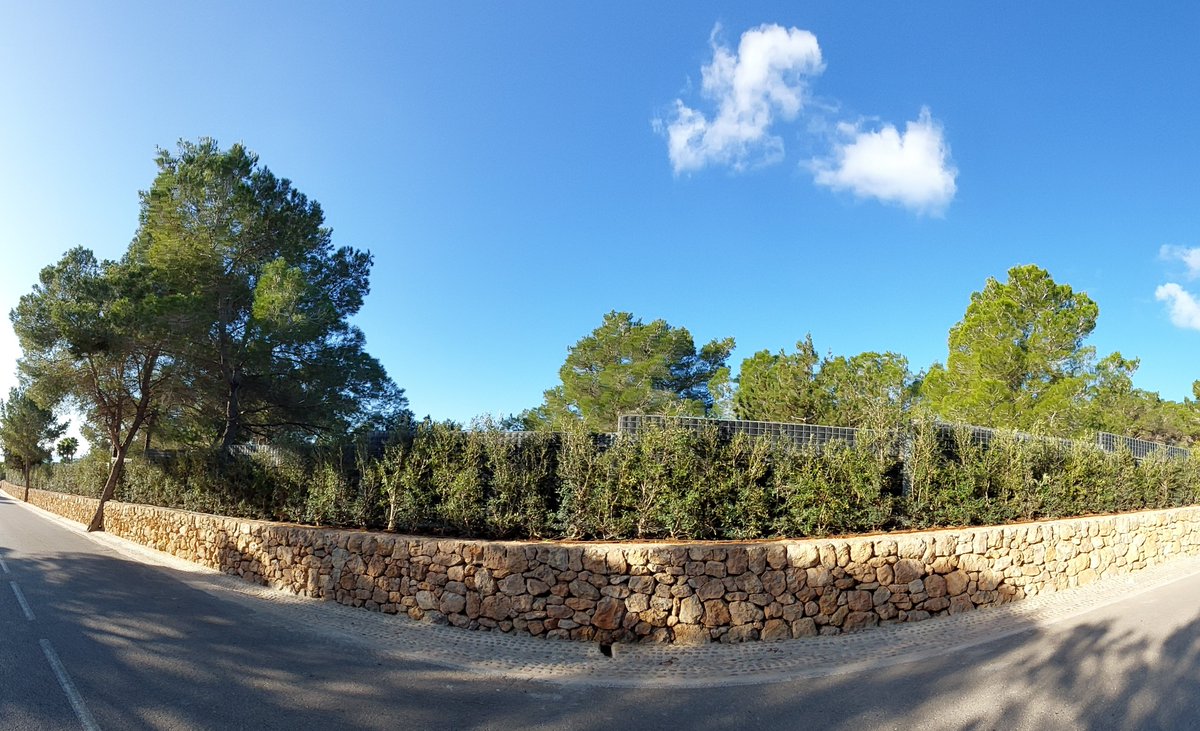 GreenwallBV's tweet photo. Op deze #BlueMonday kijken wij met plezier terug op een mooie opdracht die we vorige week hebben gerealiseerd. Onder de strakblauwe lucht is een opdrachtgever op Ibiza blij gemaakt met een Greenwall. Ditmaal niet begroeid met Hedera, maar met olijf. Daar word je toch stil van?! https://t.co/DfQh4MLVqB