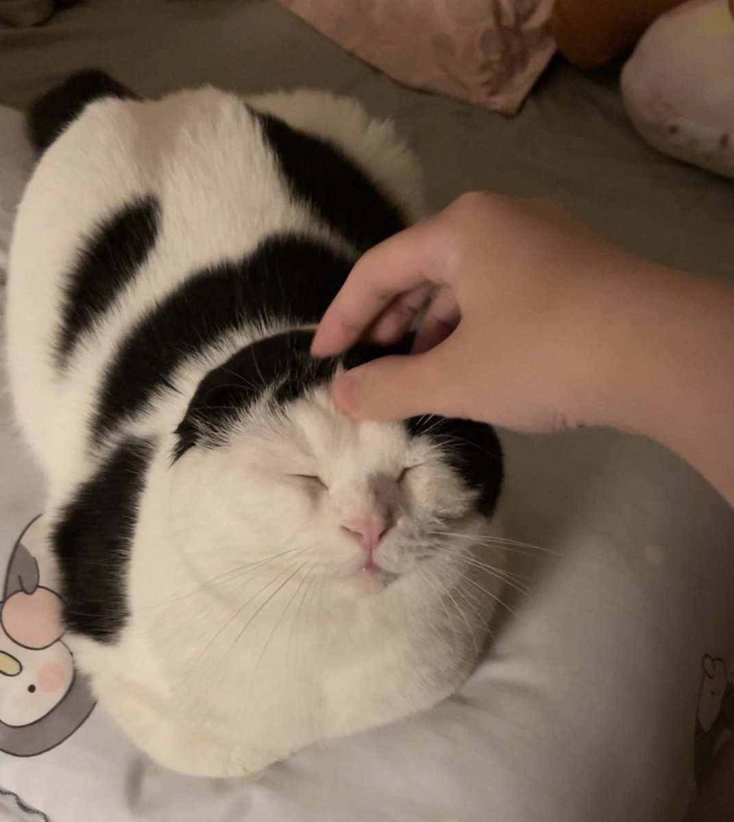 mormormorru's tweet photo. ชอบตอนแงวนั่งเก็บมือมาก มันแบบหึ่ยยยอยากบีบ https://t.co/NRMCXfujd2