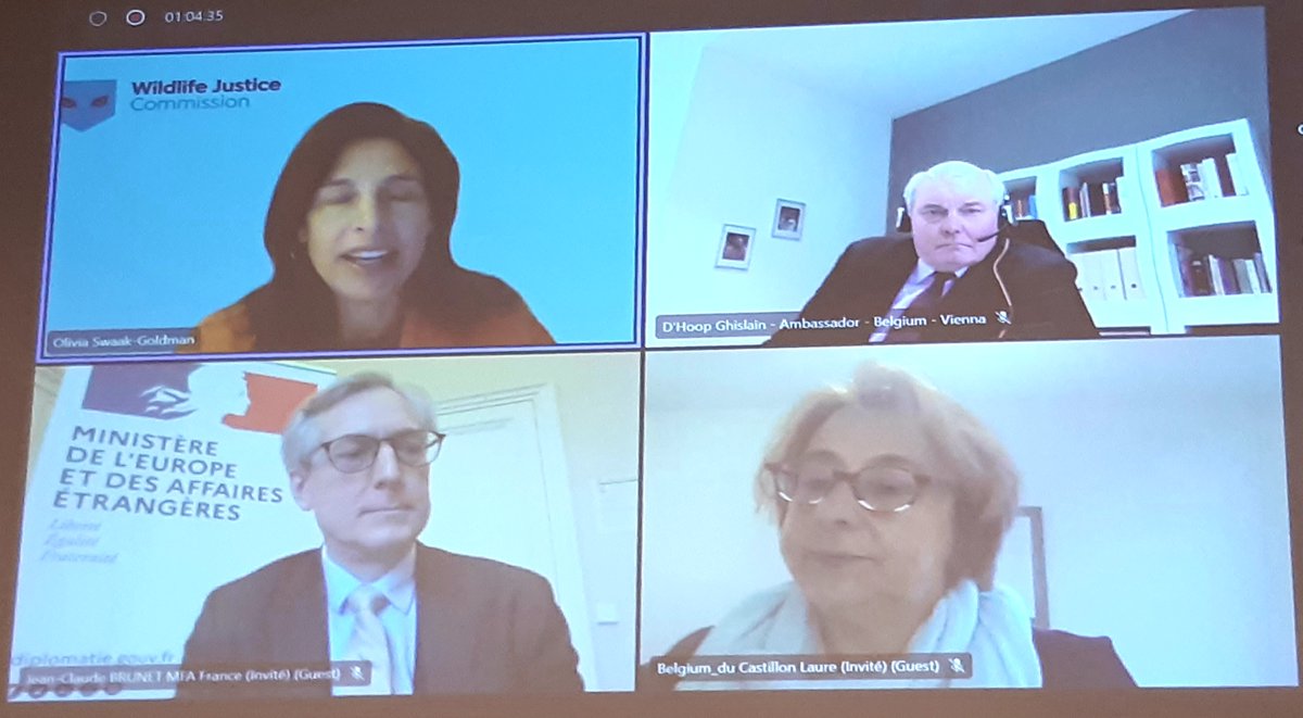 FranceONUVienne's tweet photo. Vous avez manqué l’événement parallèle🇫🇷🇪🇺🇧🇪 #UNODC #WJCommission sur « la lutte contre la corruption liée à la criminalité environnementale » à la #COSP9 #UNCAC ? 
L’enregistrement vidéo est maintenant disponible en ligne : 
👉https://t.co/dh5rKlYj0m https://t.co/Qm6CC3vzNL