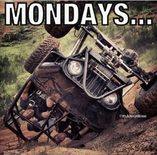 Good morning friends 👋🏻 
Let’s have a better Monday than this guy 🥴

Stop by and come say hello 
772-266-3303