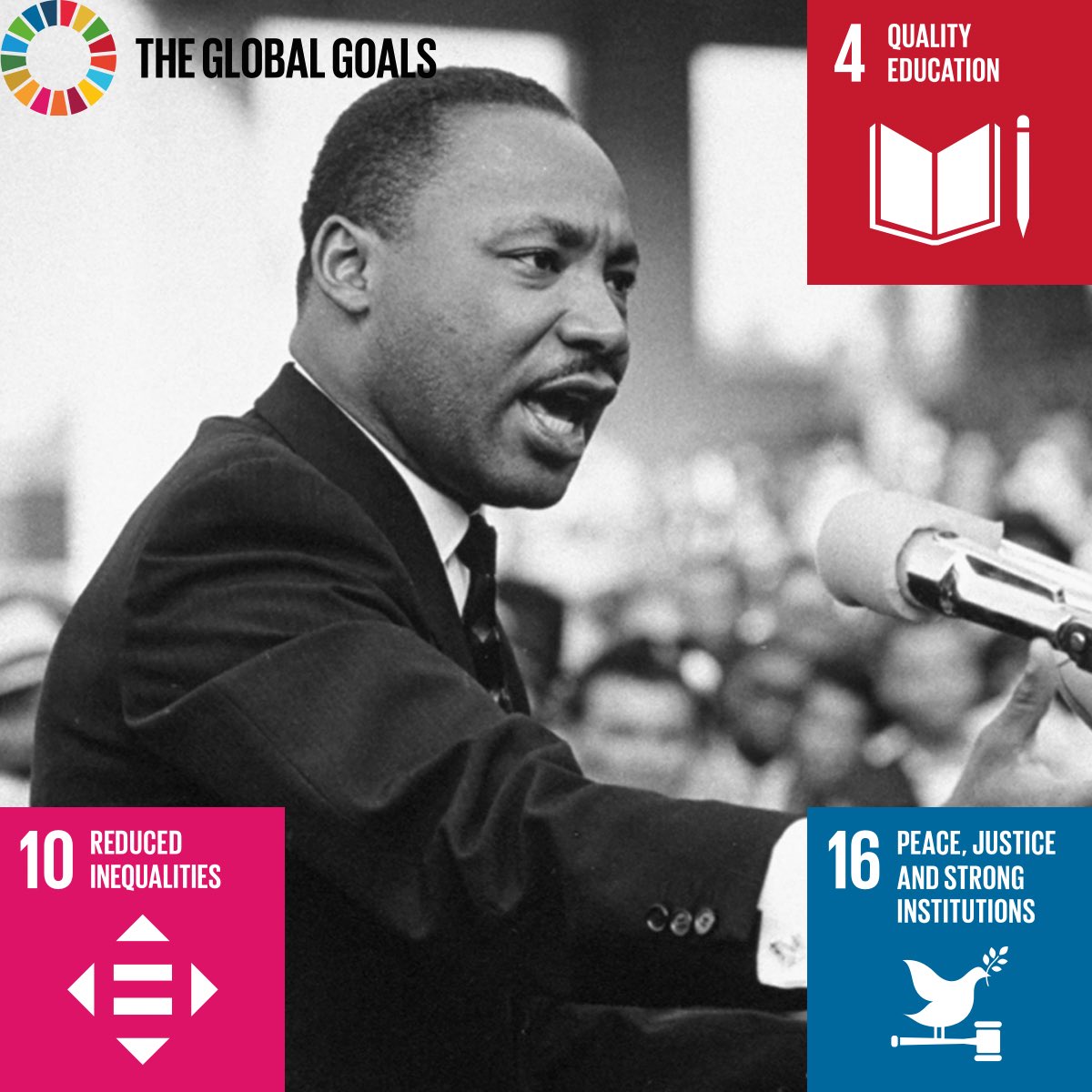 Mandie (STEM Tactics) tweet media