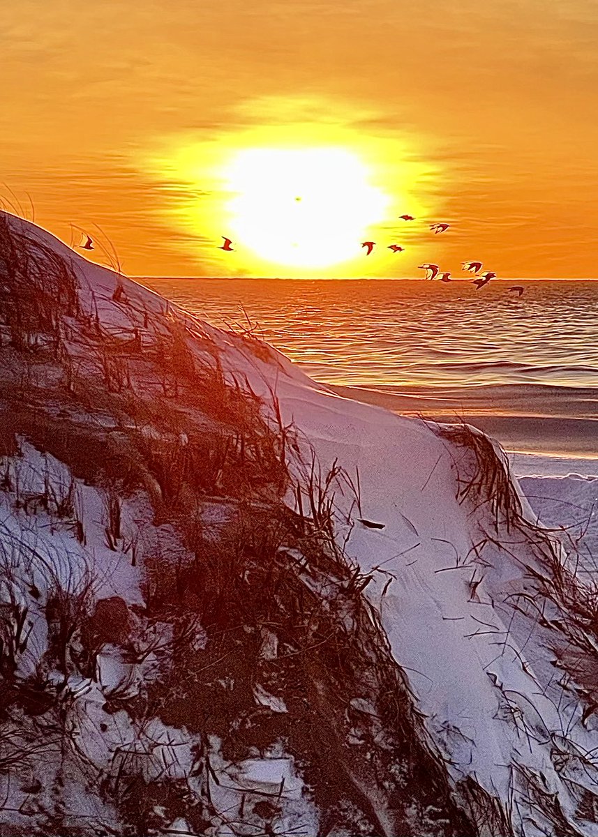 beach_footprint's tweet photo. Après la tempête /After the storm on Îles-de-la-Madeleine… long beach walks are now rather challenging #stormhour #fousdesiles #magdalen_islands
#quebecmaritime
#atrim
#cbcquebec
#yhzweatherguy
#tsimpkin https://t.co/KRJOQB1Aiw
