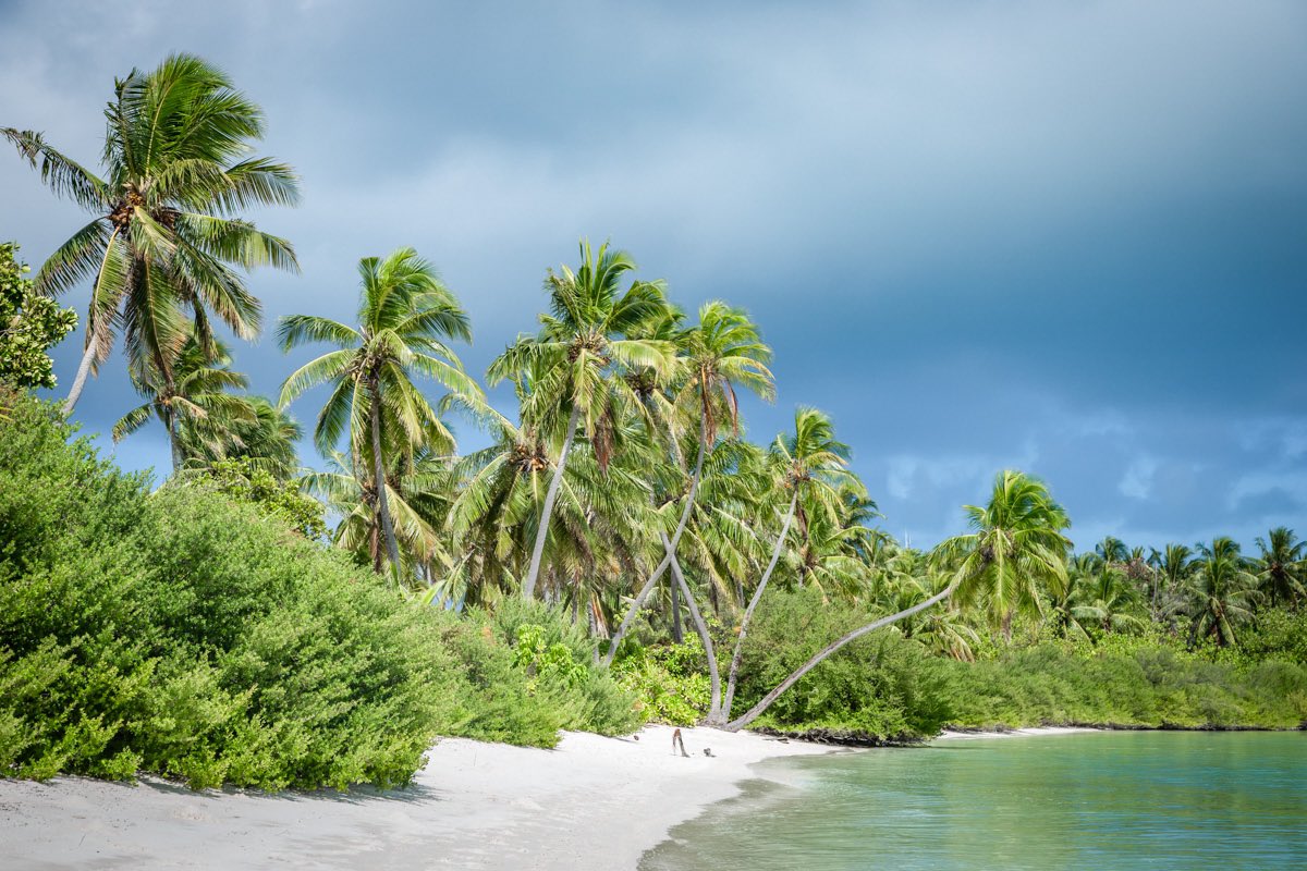 HevanaHolidays's tweet photo. Some places In Maldives that will take your breath away. Places that will be always in your hearts ,♥️ Visit Hevana to experience the real Maldivian style. Visit your home in paradise 😍
.
#visithevana #hevanamaldives #keyodhoomaldives #maldivesislands #Maldives #visitmaldives https://t.co/BHCOxCgqqv