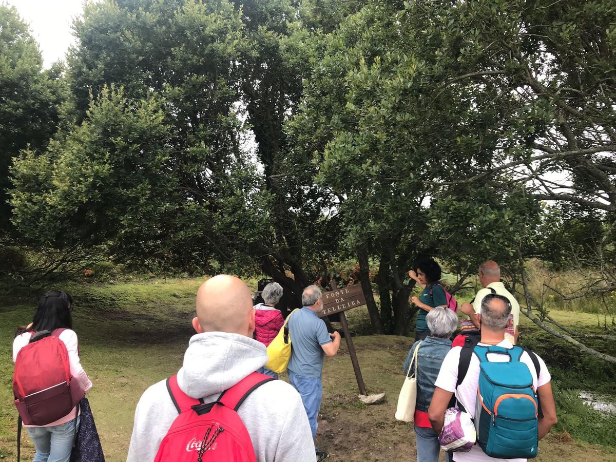 Arenariacoord's tweet photo. 🌞Luce Lorenzo... y a nosotros, aún con frío, nos empiezan a entrar unas ganas de actividades al aire libre que ni os lo podéis imaginar!🤩
🧠Será que ya vemos próxima la temporada de excursiones,navegación, familias, talleres en la playa...??💚
Y a tiqué actividad te apetecería? https://t.co/1YXNKBNLU4