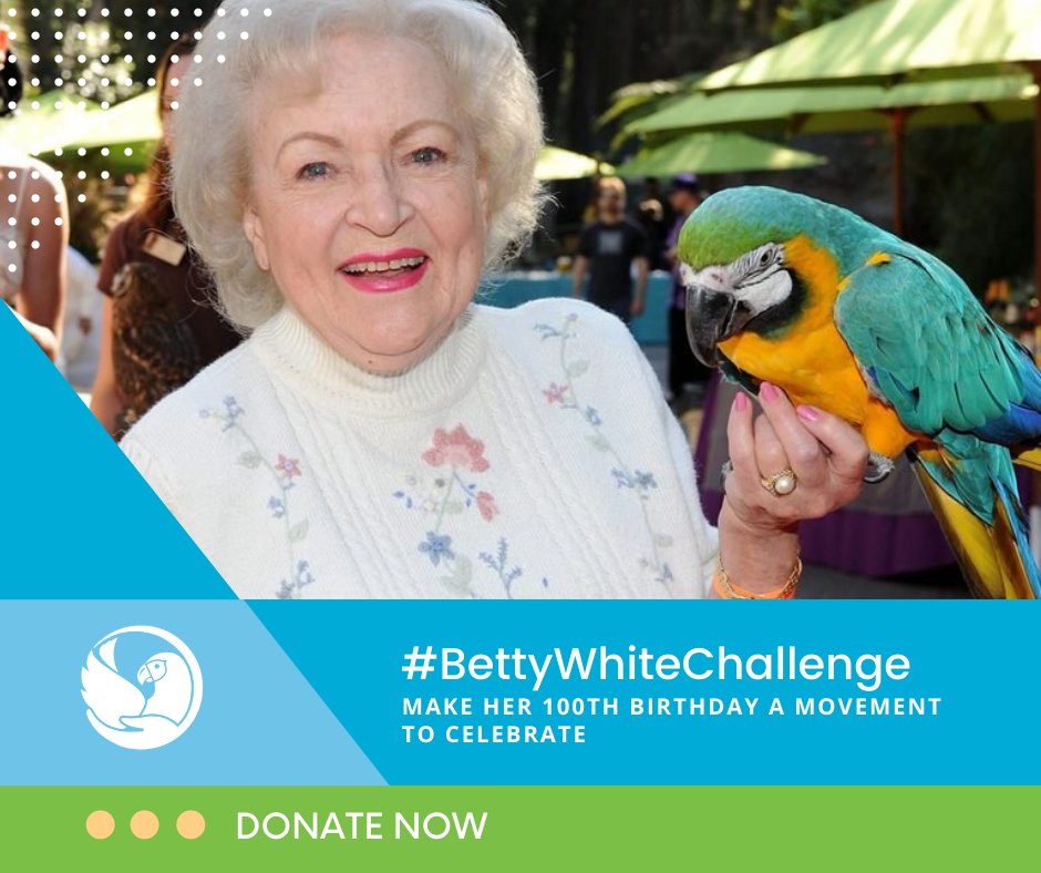 Parrot Partners Canada tweet media