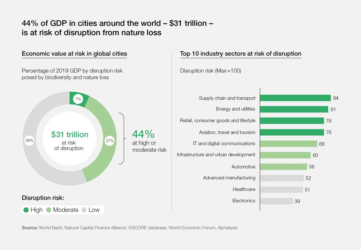 World Economic Forum (@wef) on Twitter photo BiodiverCities: how infrastructure could transform the urban relationship with nature <a href="/IvanDuque/">Iván Duque 🇨🇴</a> #DavosAgenda wef.ch/3FAukcg BiodiverCities: how infrastructure could transform the urban relationship with nature <a href="/IvanDuque/">Iván Duque 🇨🇴</a> #DavosAgenda wef.ch/3FAukcg