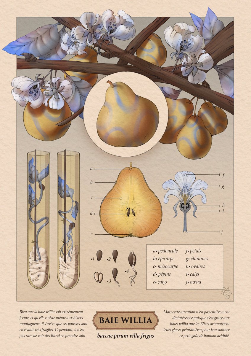 Aldeid_'s tweet photo. "Je me présente, Professeur Physalis, chercheur en botanique et spécialiste des baies. J'étudie le lien qui existe entre les Pokémon et ces petits mets de tous les jours. Voici quelques-unes de mes planches de recherches, j'espère qu'elles vous seront utiles."

#InaGameChallenge https://t.co/GWl5TmfEW5