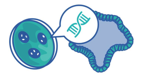 Sometimes a video can start a new conversation!
Check out our new animation (~4 mins long) - a top-level overview of what we do here at Cellesce  with #organoids and why… bit.ly/3GNjRLS