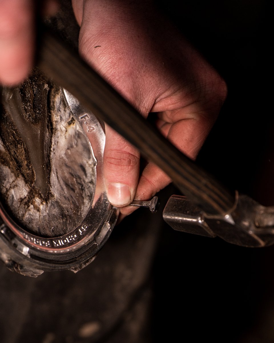 Have you used the Mustad HammerHead nails?
They feature our exclusive Mustad Pitch technology, a slimmer shank, and unique waffle head design for expert locking.