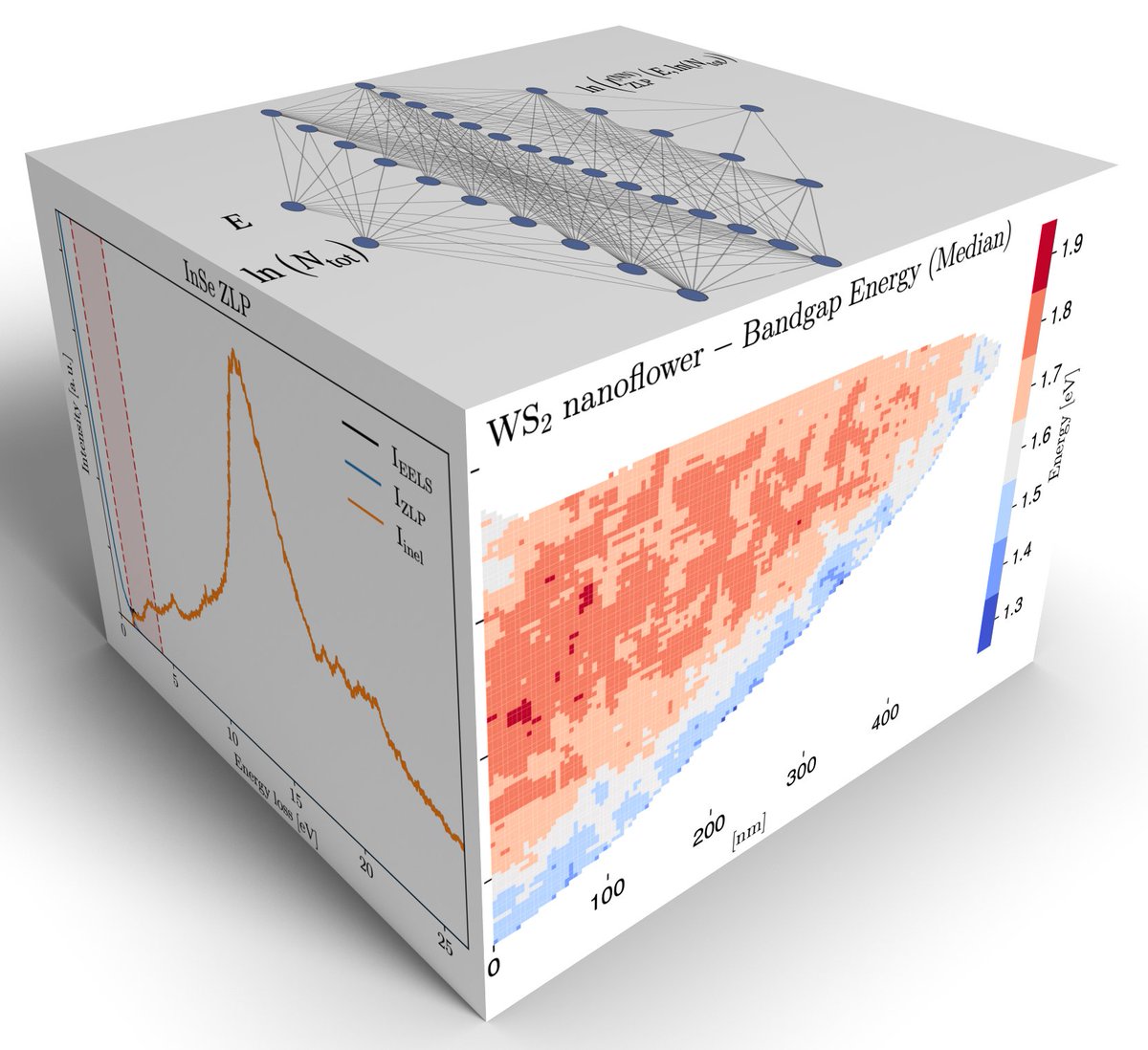 conesa_boj's tweet photo. We are thrilled to welcome Helena La as new PhD candidate in the #ConesaBojLab today! Helena will work on the theoretical modelling and interpretation of STEM-EELS measurements of #quantummaterials using #MachineLearning. Welcome Helena, looking forward to doing science together! https://t.co/wDELmeQ3bP