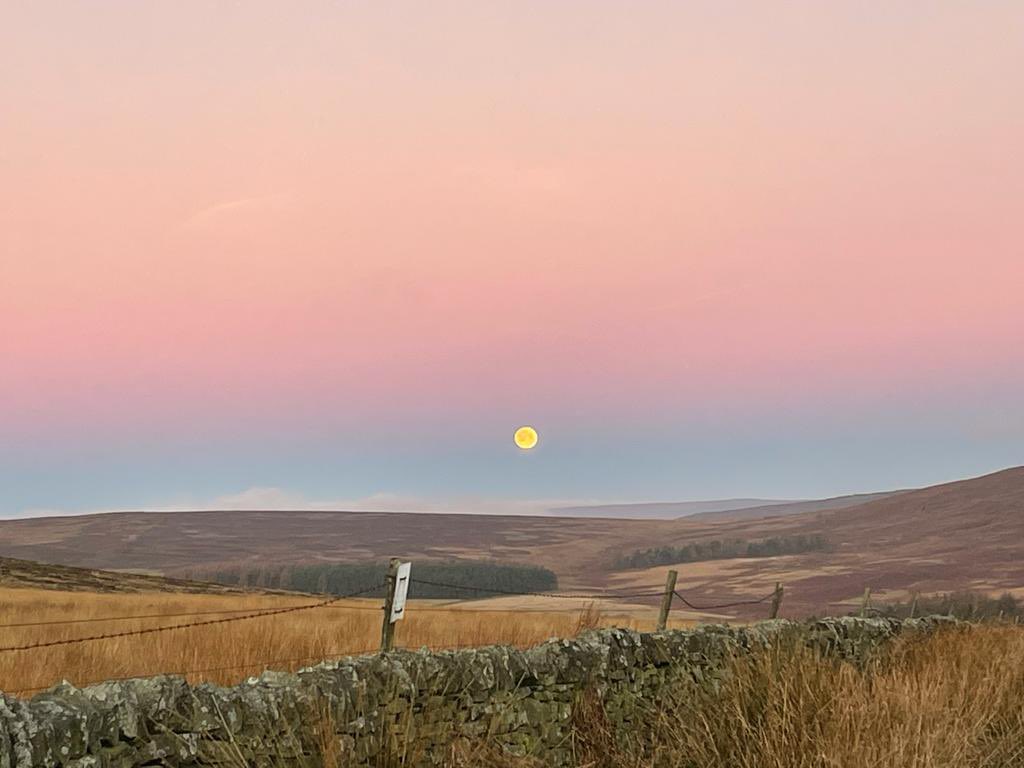 sophiekshaw's tweet photo. Gentle reminder that Blue Monday isn’t real (it was started by a travel company to get people to book holidays…) so ignore all those emails from companies trying to profit from sadness, and look at these GLORIOUS photos my Mum sent me of sunrise at home this morning instead ✨ https://t.co/kAkxEAIEhE