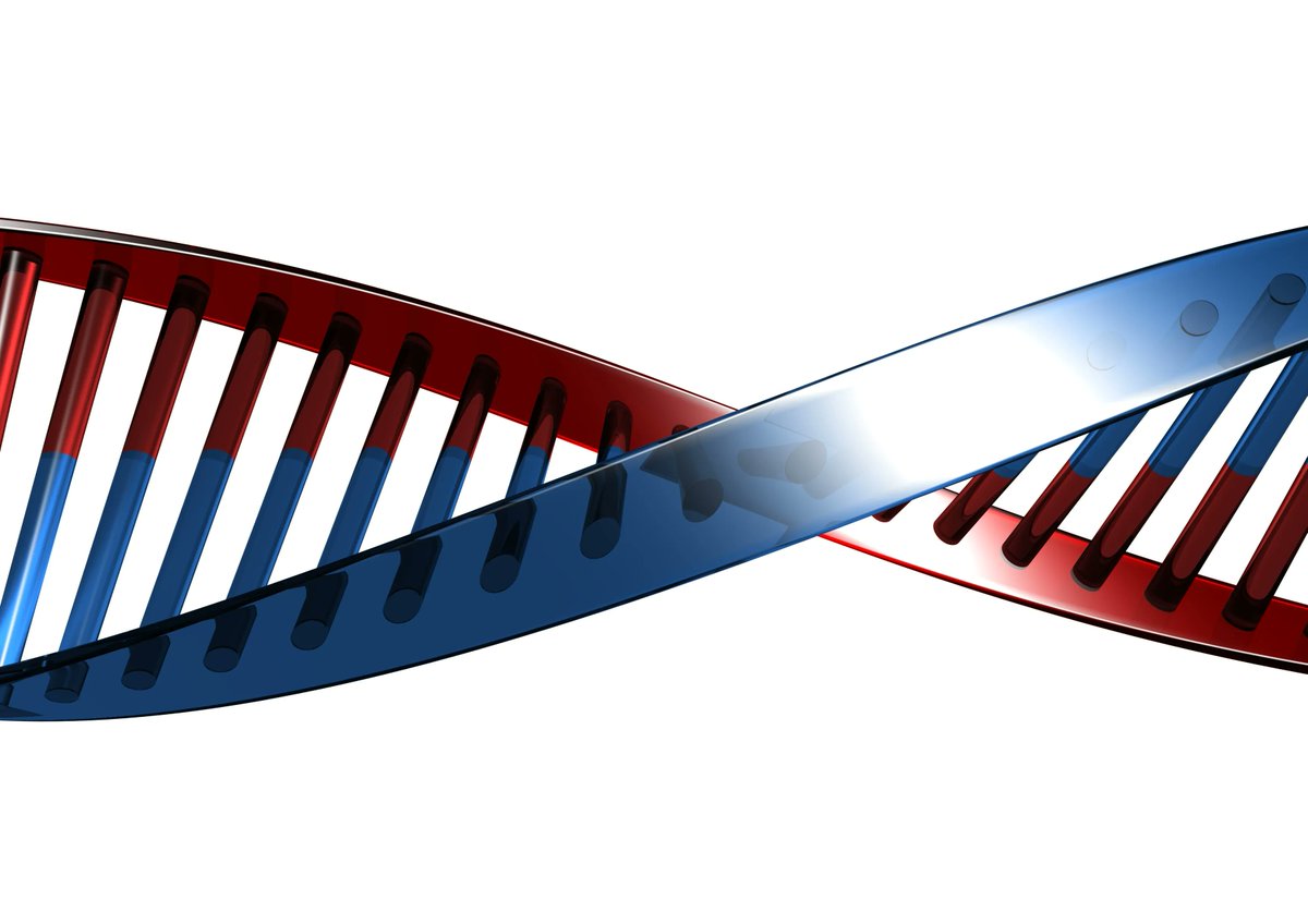 CNRSinformatics's tweet photo. #Distinctions🏆| BioPIM de Dominique Lavenier @irisa_lab vise à développer des outils de #bioinformatique à la fois plus performants et flexibles
➡️https://t.co/1hSgusv9kg
🤝 @CNRS_dr17 @ENSRennes @inria @INSA_Rennes @centralesupelec @IMTAtlantique @UBS_Universite @UnivRennes1 https://t.co/ms18gBbC5L