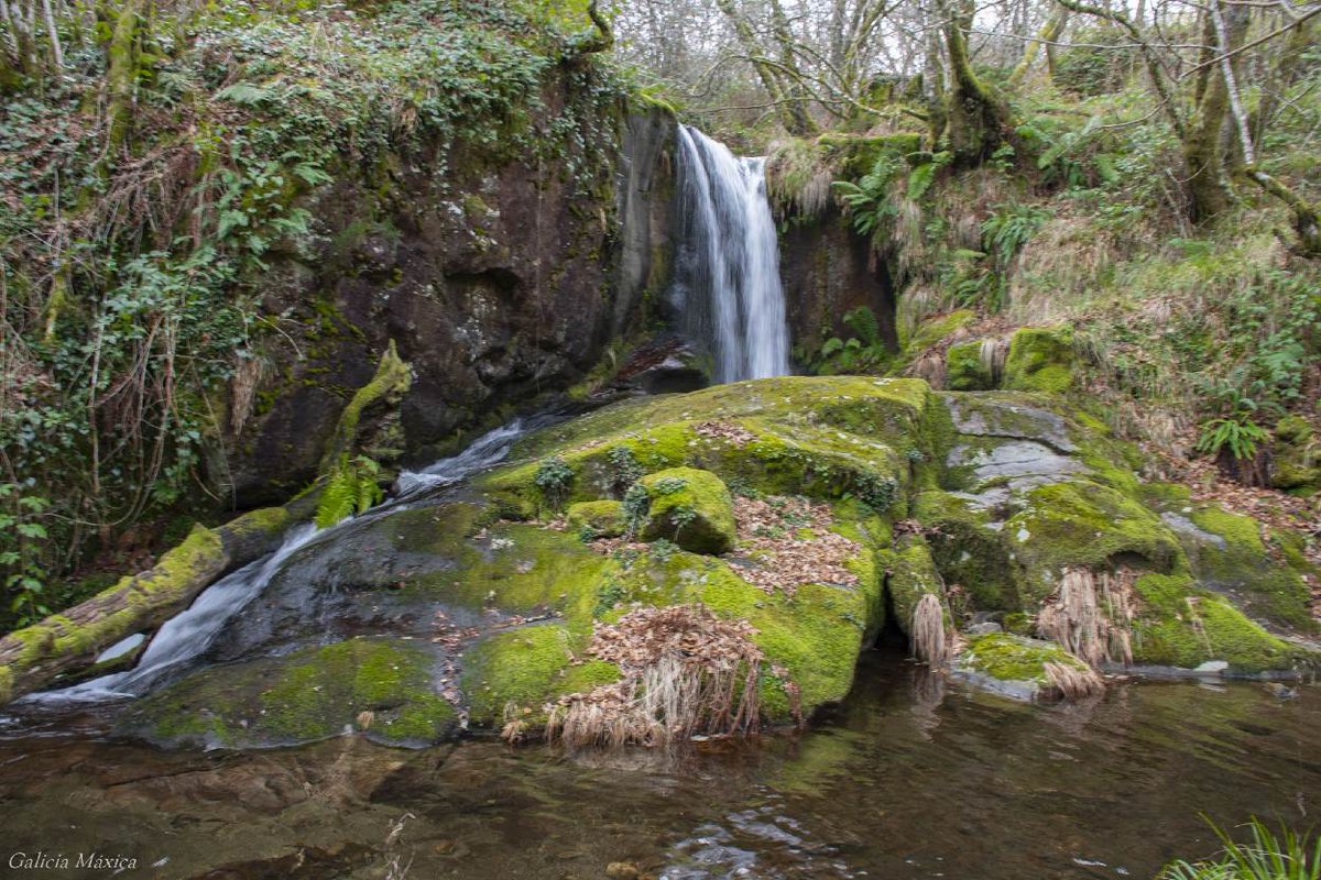 GaliciaMaxica's tweet photo. Lugares más allá de la Galicia profunda. Nuevo lugar.
Para quién le interese: 👉https://t.co/yjSkQNClT9
#CalvosdeRandín #Ourense #Galicia 
@SESEIXA https://t.co/ZGWzWQPh45