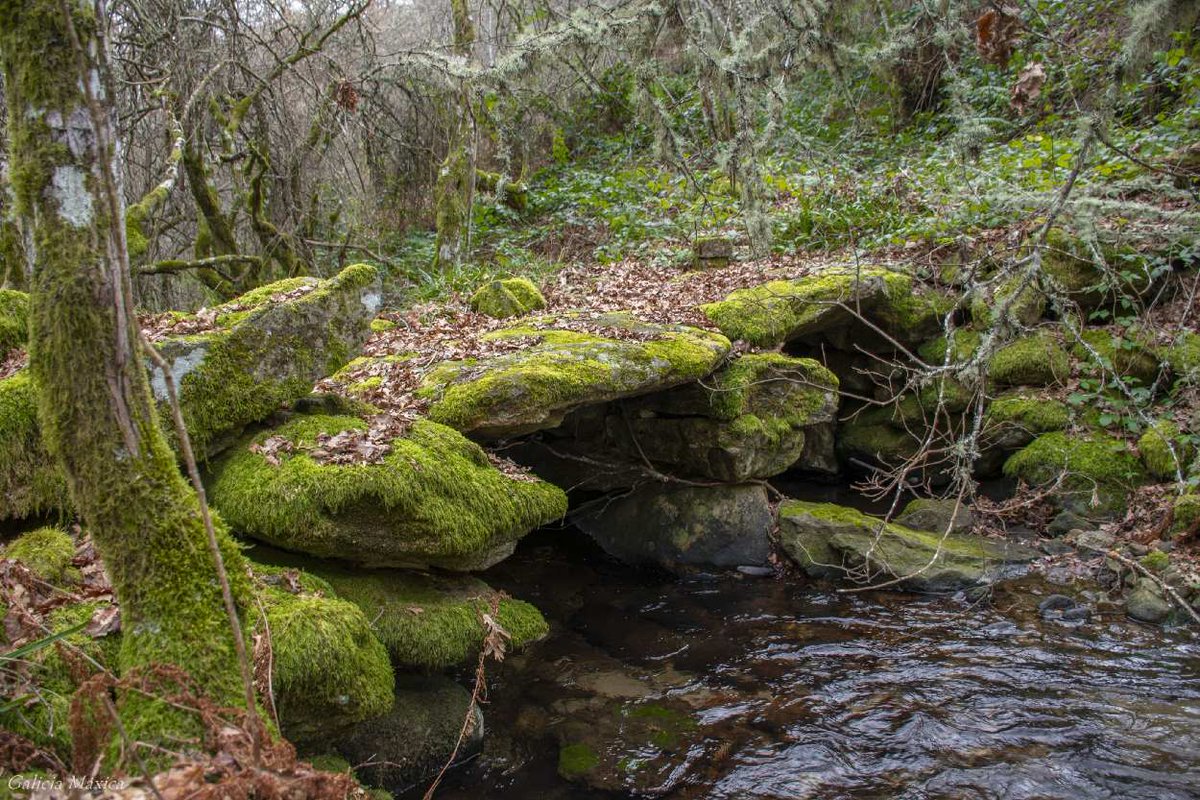 Lugares más allá de la Galicia profunda. Nuevo lugar.
Para quién le interese: 👉galiciamaxica.eu/galicia/cascad…
#CalvosdeRandín #Ourense #Galicia 
<a href="/SESEIXA/">Seseixa</a>