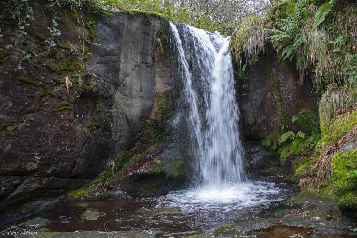 GaliciaMaxica's tweet photo. Lugares más allá de la Galicia profunda. Nuevo lugar.
Para quién le interese: 👉https://t.co/yjSkQNClT9
#CalvosdeRandín #Ourense #Galicia 
@SESEIXA https://t.co/ZGWzWQPh45