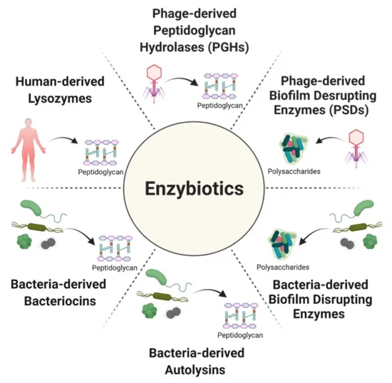 antibioticsmdpi's tweet photo. #EditorChoiceArticle

Treating Bacterial Infections with Bacteriophage-Based Enzybiotics: In Vitro, In Vivo and Clinical Application by Dr. Katarzyna M. Danis-Wlodarczyk et al. from @OhioState

👉https://t.co/jB7hHCcz0M https://t.co/6nFEYg0i65
