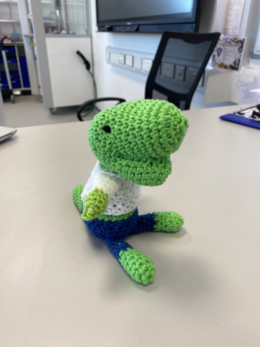 PaulNgBell1's tweet photo. Crochet Society’s newest member needs a name, any suggestions?
#crochetinschool #sciencecrochet #buildyourcharacter https://t.co/swXiZLmAup