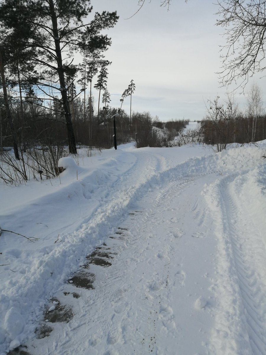 MigalevA's tweet photo. @Togliatti063 Тропа здоровья со стороны ул. Комзина в сторону ул. Инженерная не прочищена,  прошу принять меры по расчистке дороги. https://t.co/InOqNKvKIa