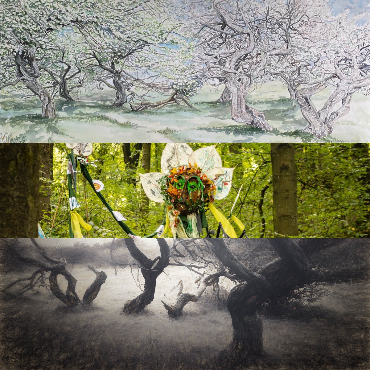 TreasuringTrees's tweet image. Let’s Celebrate Derbyshire’s Trees in ‘Treasuring Trees’ Exhibition of watercolour, photography, painting, puppets &amp;amp; digital images
@BuxtonMuseum 

19th Feb-8th June
 Meet the artist 26th March 
👀 SM
Looking forward to sharing this year long project with you. #derbyshire #art