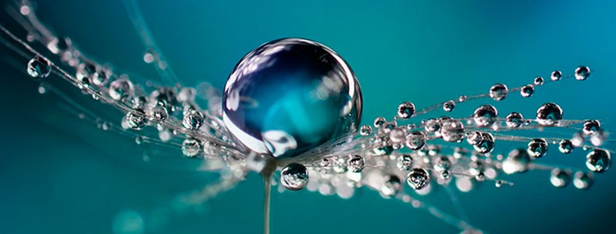 AirLiqRu's tweet photo. В рамках ESG-целей Группы Air Liquide и корпоративной социальной ответственности, Air Liquide в России осуществила поддержку образовательной программы Благотворительного Фонда помощи больным БАС имени Нины Ивановны Левицкой (БАС - Боковой амиотрофический склероз). https://t.co/jiH4G2RHCC