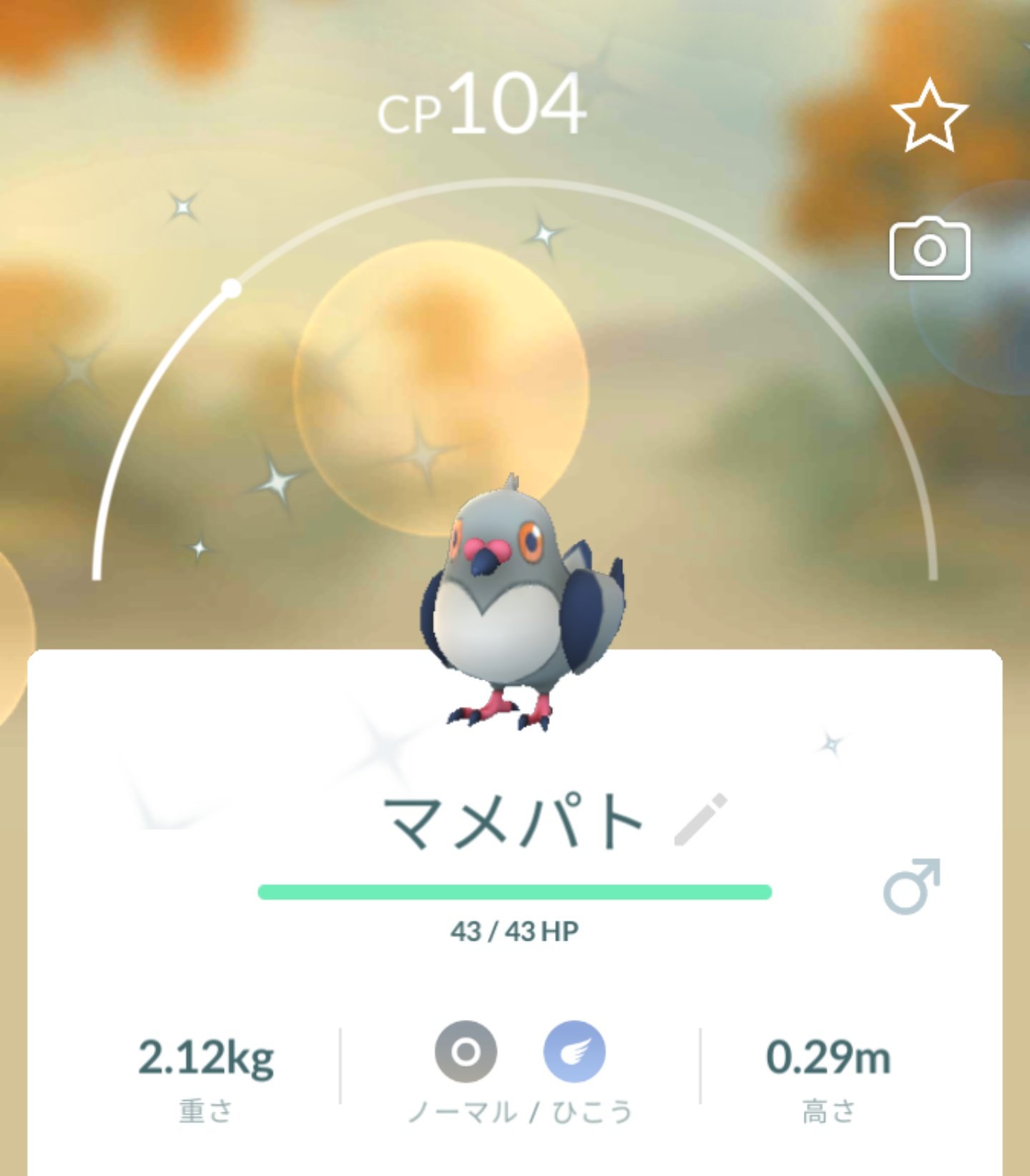 ニンジャ参謀 Swasw 最近のポケモン3 色違いマメパト ハトーボー ケンホロウ ポケモンgo T Co Lznfj3tjz8 Twitter