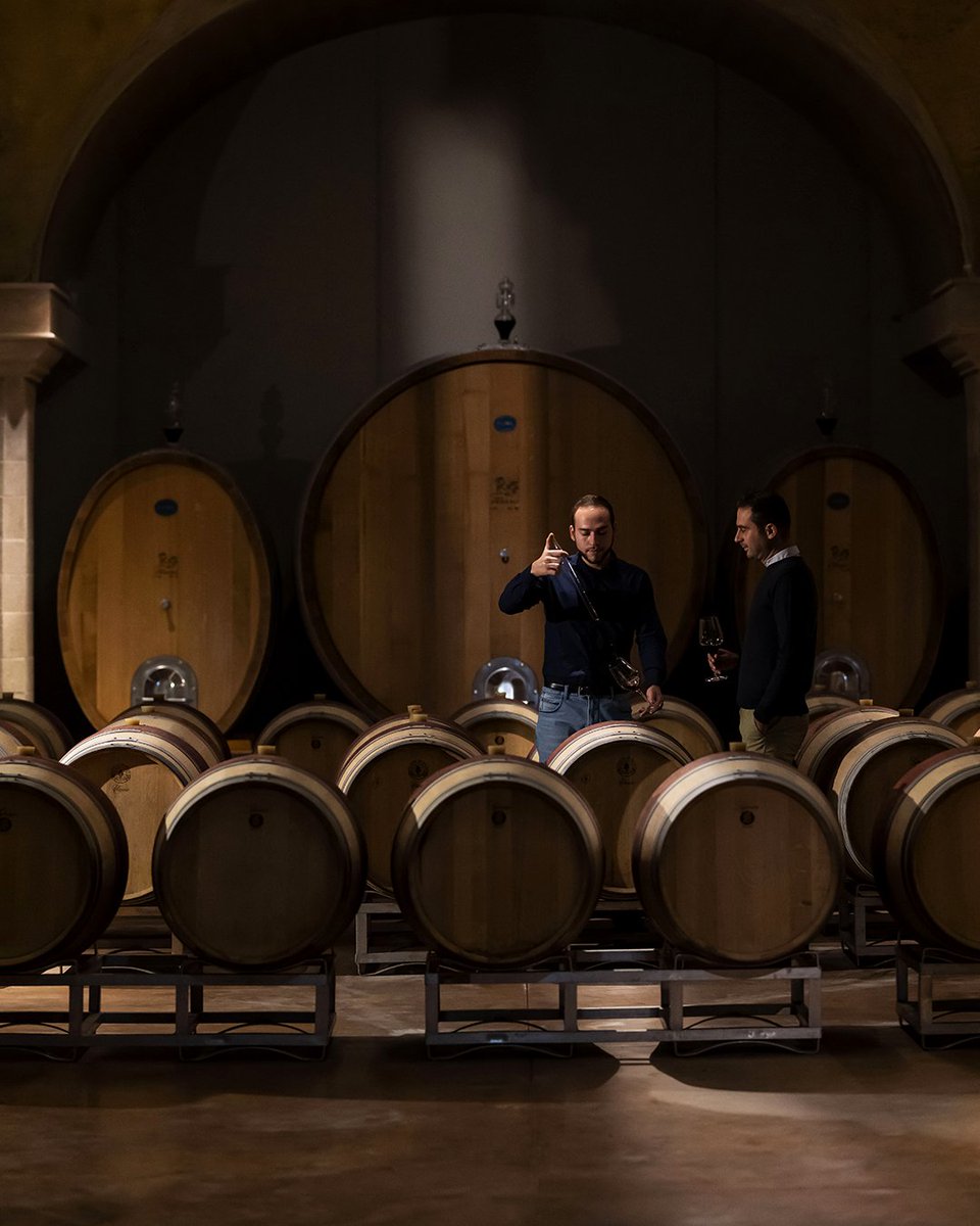 FrescobaldiVini's tweet photo. Where the magic happens.
#TenutaPerano #ChiantiClassico #Frescobaldi #FrescobaldiVini #ToscanaDiversity #WineLover #Tuscany #TuscanyWine #Wine #WineTasting #WineLovers #WineTime #InstaWine #Tuscany #TuscanyLover #Toscana #Vineyards #Winecellars https://t.co/cQ6ol0ti4K