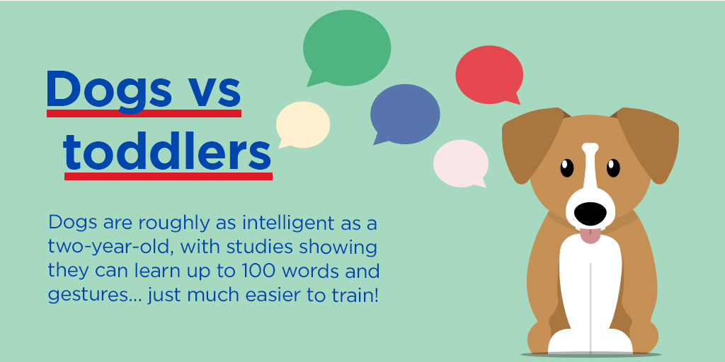 Blue Monday is known for being the most depressing day of the year, so we thought we’d share some wholesome random facts about animals to put a smile on your face 🐾 Friendly reminder: blue Monday isn’t real, it was just invented by someone in marketing 🙌