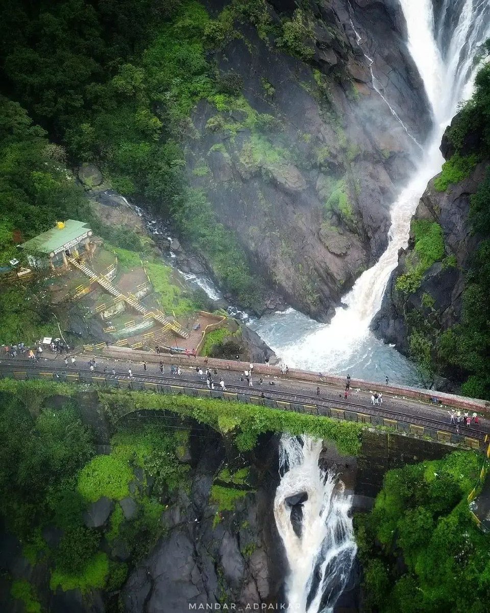 #DudhsagarFalls literally translates to “sea of milk” owing to its #milky white color. Amidst the Mollem National Park or rather the Bhagwan Mahaveer Sanctuary you will find the majestic and stunningly flowing #Dudhsagar Falls. 🙏😍

#NatureBeauty