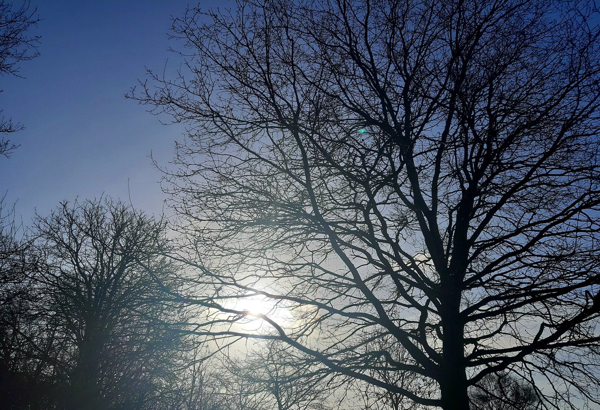 Sabine Froyman tweet media