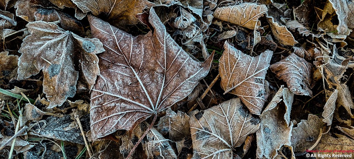 Simon's Weather Photography tweet media