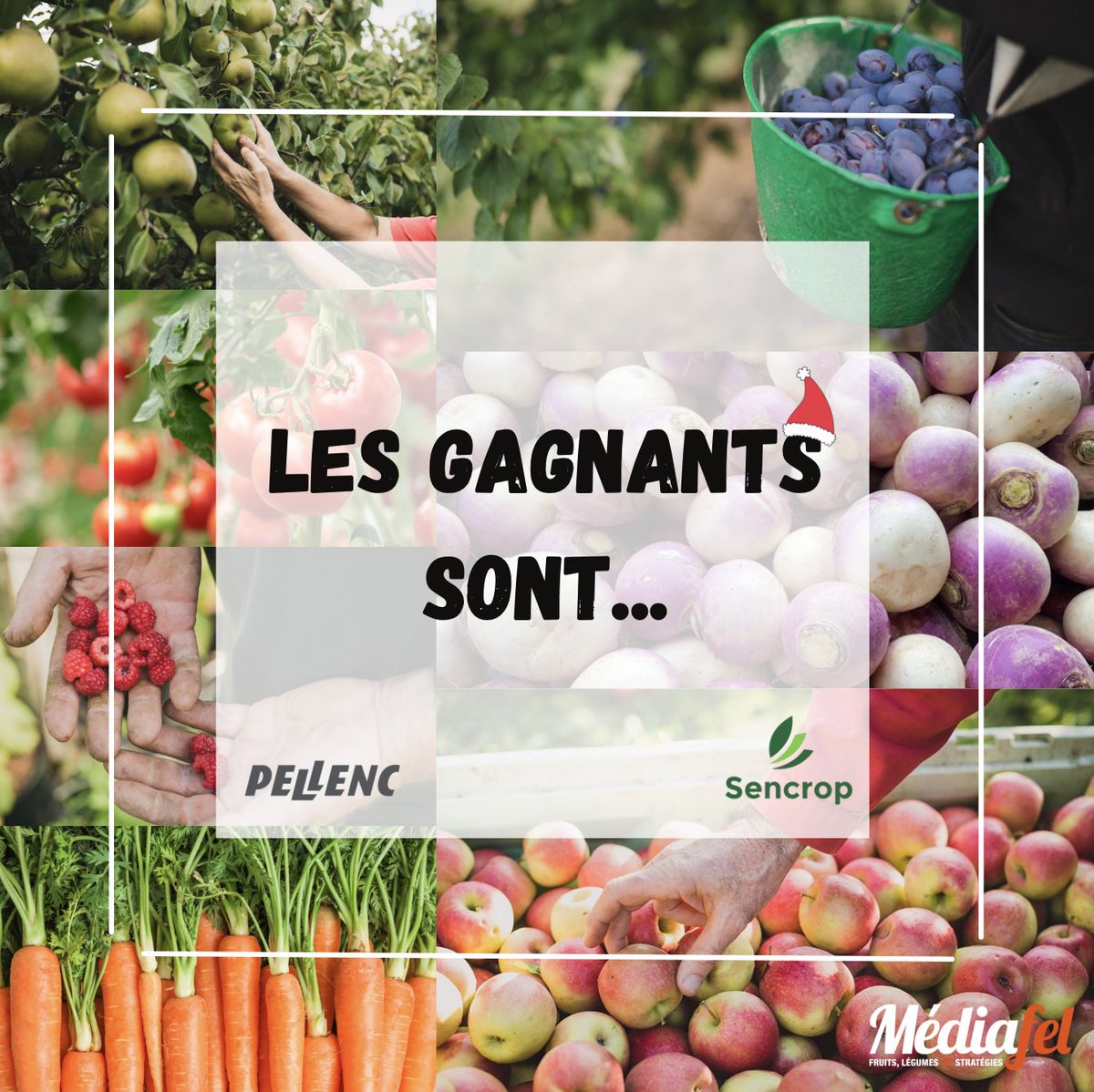 Mediafel's tweet photo. 🎁Jeu concours "Calendrier de l'Avent"🎁
Il est l'heure de vous dévoiler les 3 gagnants de notre jeu concours en partenariat avec la @FNPFruits, @sencrop et @PellencGroup !
🥇1er Sébastien Rousseau remporte la station météo #Raincrop !
🥈 2e Alexandre Bathes
🥉 3e Brice Massé https://t.co/qB6hVpLo5d
