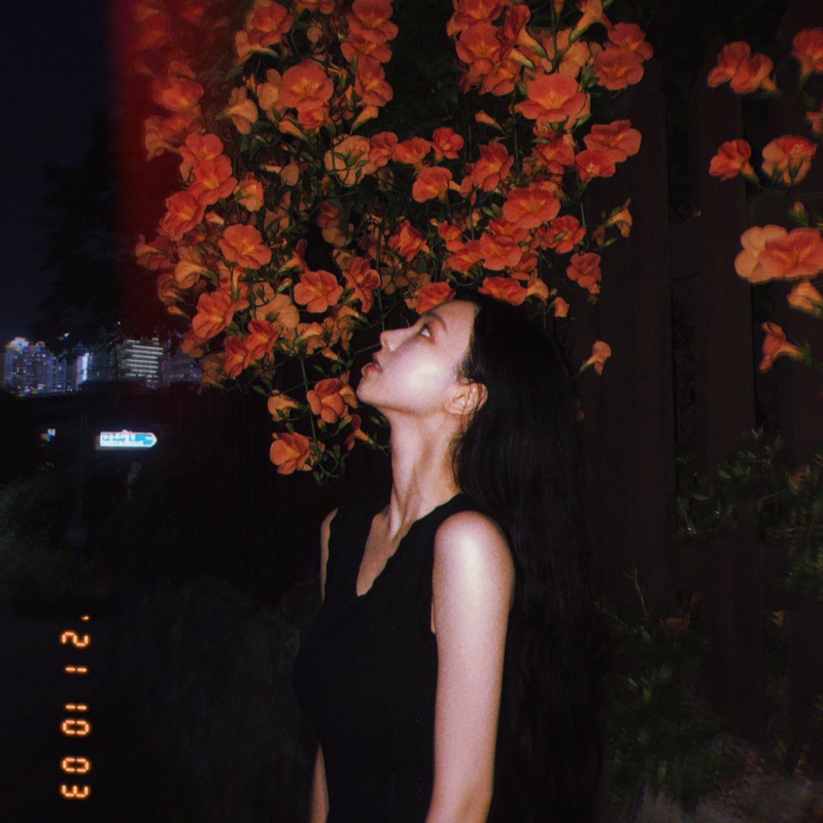 silverluces's tweet photo. #alab | winrina / jiminjeong au

Amidst Lines and Boundaries

• fin • https://t.co/oqbgza8OiX