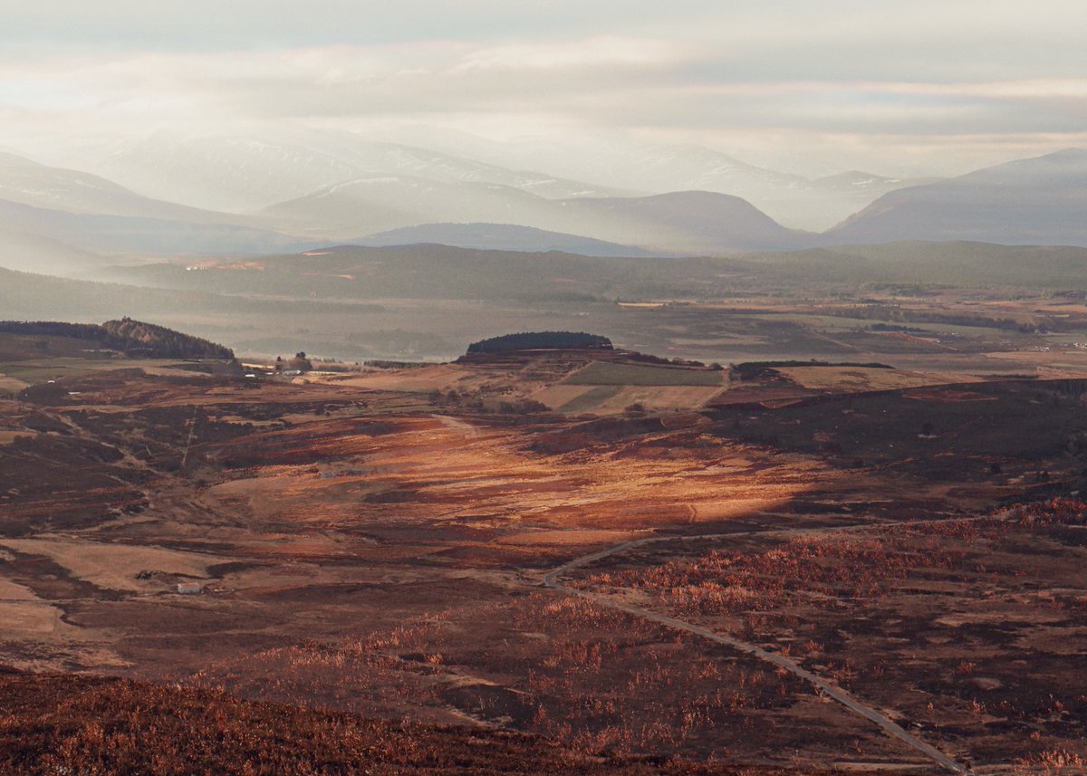 CatParmenter's tweet photo. Homeland

A little warmth in the middle of winter 

Cairngorm based Photographer | Catriona Parmenter Photography https://t.co/SuBqL6AzHJ
